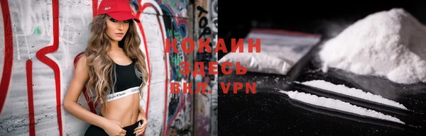 соль ск Арсеньев