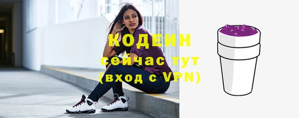 соль ск Арсеньев